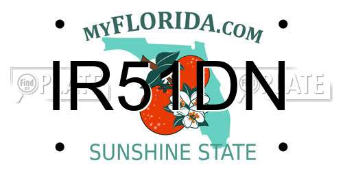 IR51DN Florida License Plate