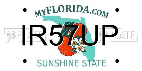 IR57UP Florida License Plate