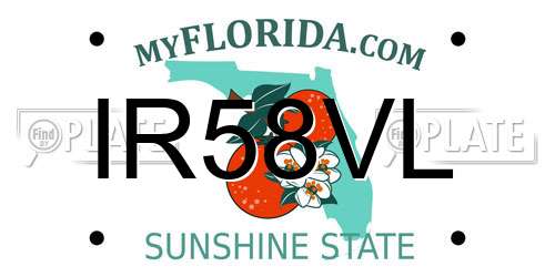 IR58VL Florida License Plate