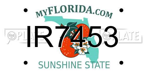 IR7453 Florida License Plate