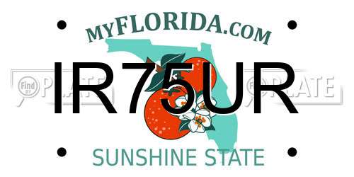 IR75UR Florida License Plate