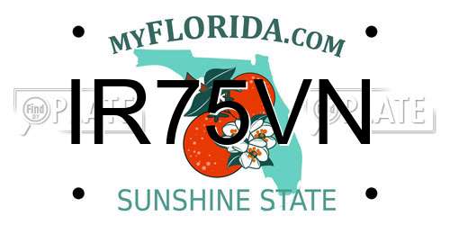 IR75VN Florida License Plate