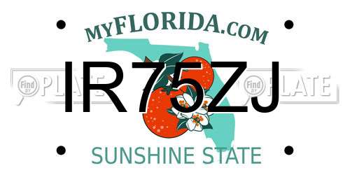 IR75ZJ Florida License Plate