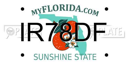 IR78DF Florida License Plate