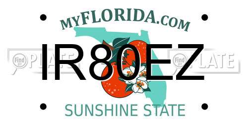 IR80EZ Florida License Plate
