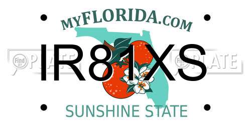 IR81XS Florida License Plate