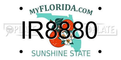 IR8880 Florida License Plate