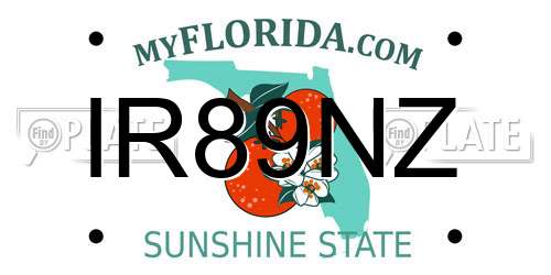 IR89NZ Florida License Plate