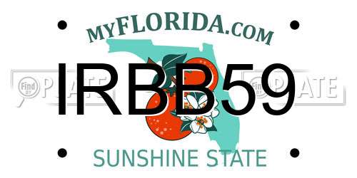 IRBB59 Florida License Plate