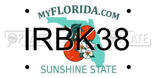 IRBK38 Florida License Plate