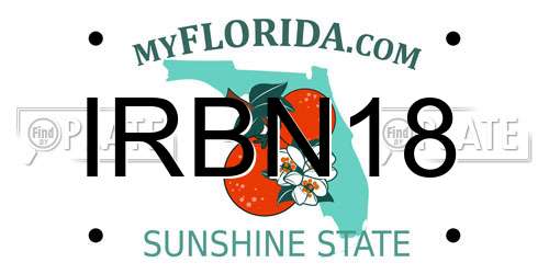 IRBN18 Florida License Plate