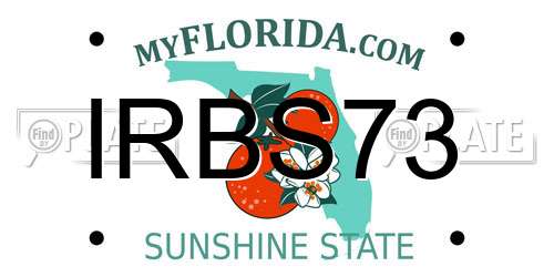 IRBS73 Florida License Plate