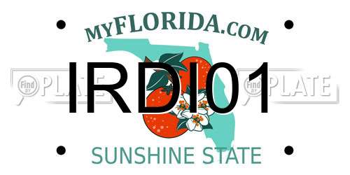 IRDI01 Florida License Plate