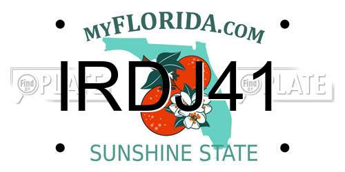 IRDJ41 Florida License Plate