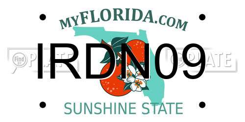 IRDN09 Florida License Plate