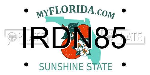 IRDN85 Florida License Plate