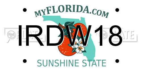 IRDW18 Florida License Plate