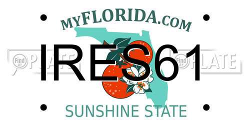 IRES61 Florida License Plate