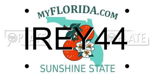 IREY44 Florida License Plate