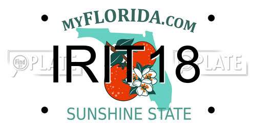IRIT18 Florida License Plate