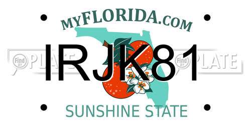 IRJK81 Florida License Plate