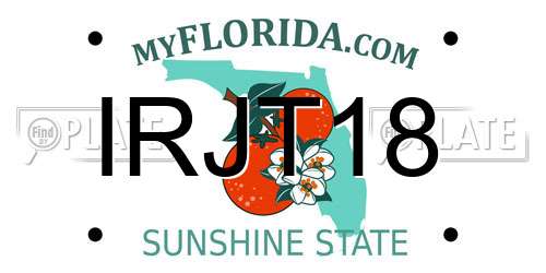 IRJT18 Florida License Plate