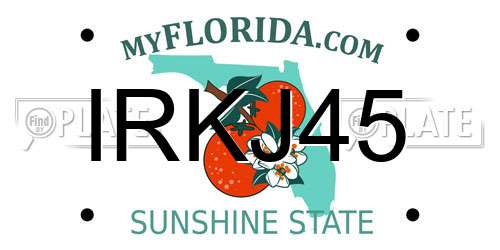 IRKJ45 Florida License Plate