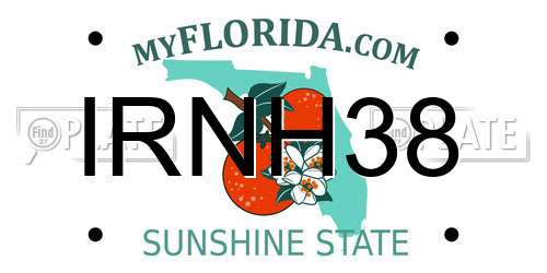IRNH38 Florida License Plate