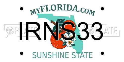 IRNS33 Florida License Plate