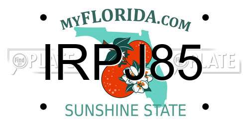 IRPJ85 Florida License Plate