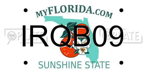 IRQB09 Florida License Plate