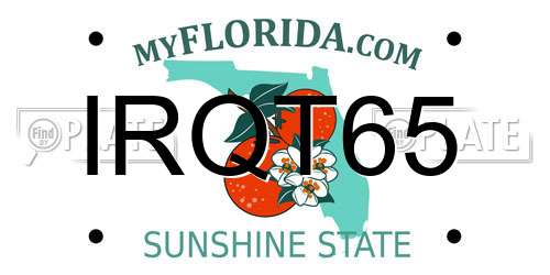 IRQT65 Florida License Plate