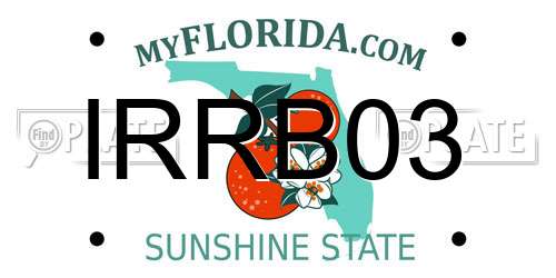 IRRB03 Florida License Plate