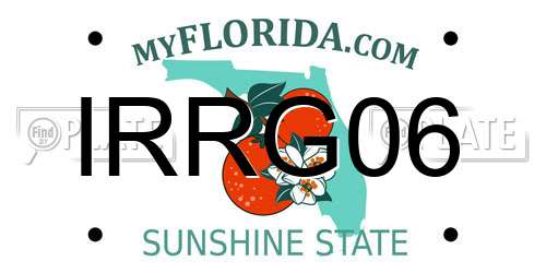IRRG06 Florida License Plate