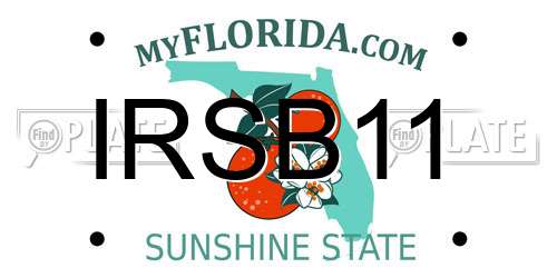 IRSB11 Florida License Plate