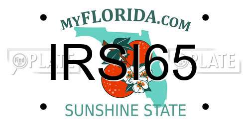 IRSI65 Florida License Plate