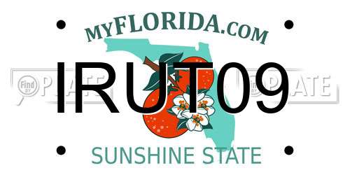 IRUT09 Florida License Plate