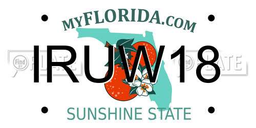 IRUW18 Florida License Plate