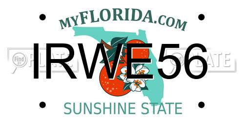 IRWE56 Florida License Plate