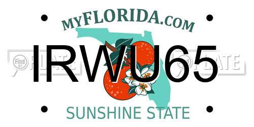 IRWU65 Florida License Plate