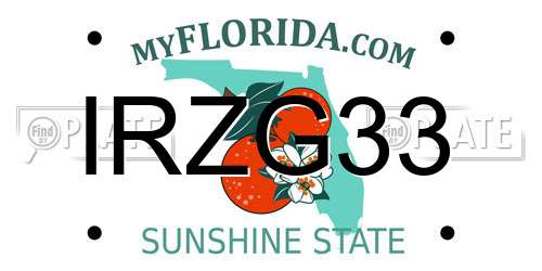 IRZG33 Florida License Plate