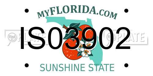 IS03902 Florida License Plate