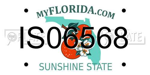 IS06568 Florida License Plate