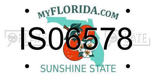 IS06578 Florida License Plate