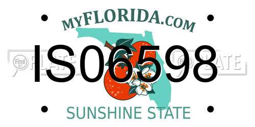 IS06598 Florida License Plate