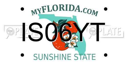 IS06YT Florida License Plate