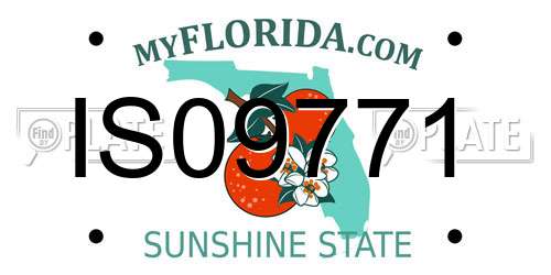 IS09771 Florida License Plate