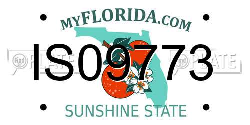 IS09773 Florida License Plate