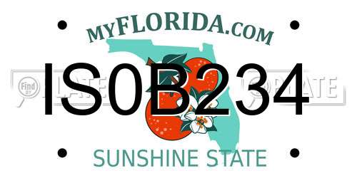 IS0B234 Florida License Plate