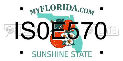 IS0E570 Florida License Plate